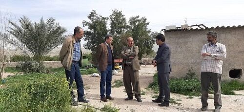 عزم جدی در نهضت گلخانه ای ایجاد شده است 