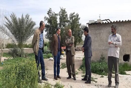 عزم جدی در نهضت گلخانه ای ایجاد شده است 