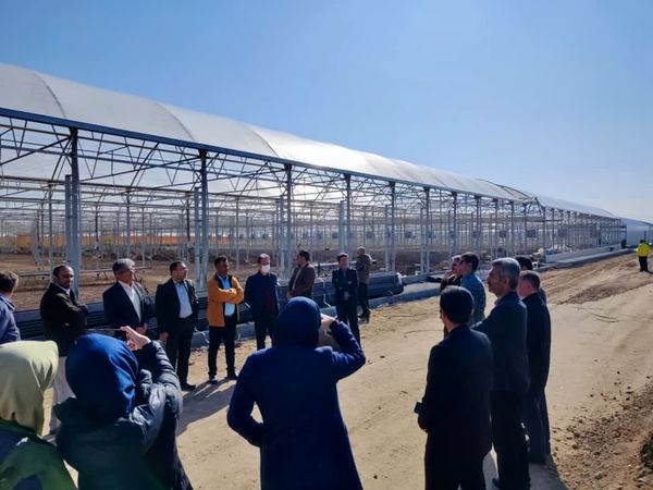 بازدید مدیران پیشران جهاد کشاورزی از شرکت گل سم در شهرستان آبیک