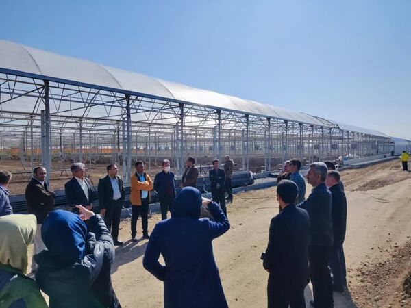 بازدید مدیران پیشران جهاد کشاورزی از شرکت گل سم در شهرستان آبیک