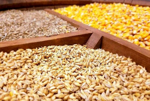 تخصیص بیش از ۹ هزارتن نهاده دامی به استان چهارمحال و بختیاری