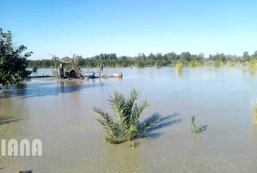 خسارت سیل به بخش کشاورزی استان سیستان و بلوچستان 2