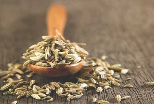 طرح ملی مکانیزه ریزکاشت گیاهان دارویی اجرا شد