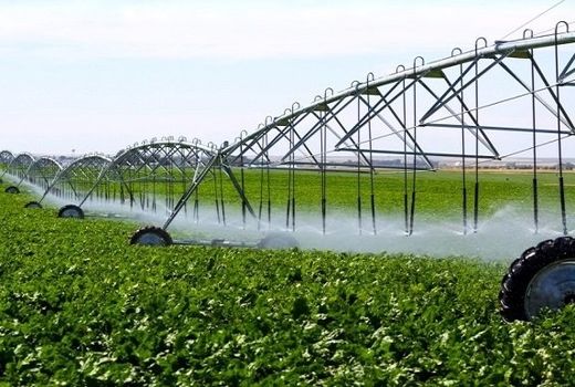 برنامه‌ریزی برای تجهیز 10 هزار هکتار از اراضی قزوین به سامانه‌های نوین آبیاری