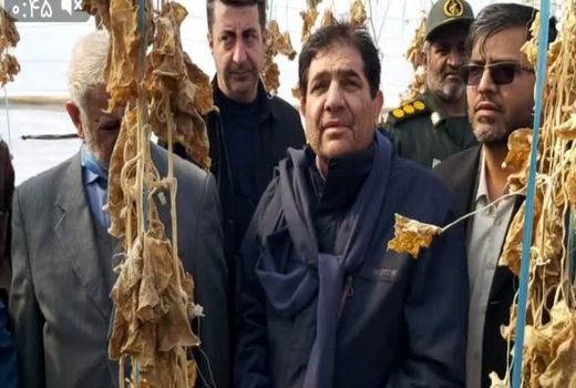 معاون اول رئیس جمهور از گلخانه های خسارت دیده سیستان بازدید کرد 