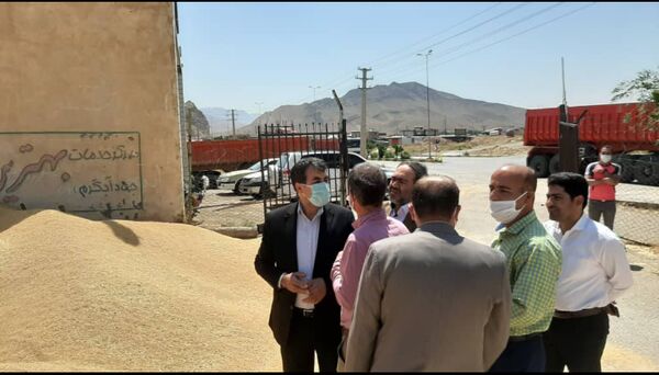 4 مرکز خرید ؛ گندم کشاورزان شهرستان آوج را خریداری می کنند 