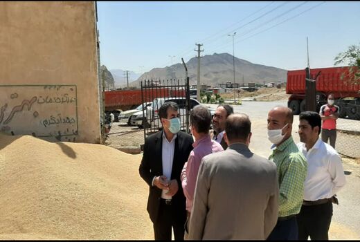 4 مرکز خرید ؛ گندم کشاورزان شهرستان آوج را خریداری می کنند 