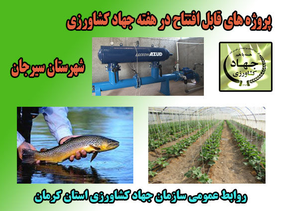 شش طرح کشاورزی و دامپروری در شهرستان سیرجان در هفته جهاد کشاورزی به بهره برداری می رسد.