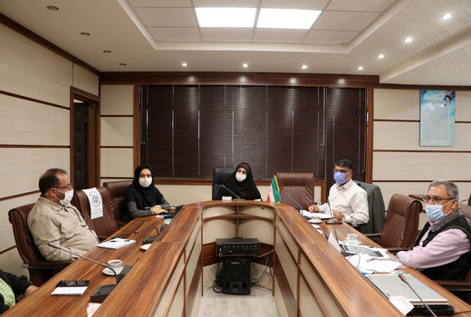 تحقق 98 درصدی برنامه تولید بذر اصلاح شده گندم آبی در استان قزوین 