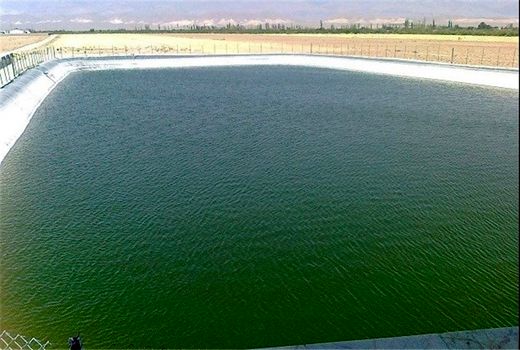 بهره برداری از 4 طرح کشاورزی و دامپروری شهرستان کوهبنان در هفته دولت