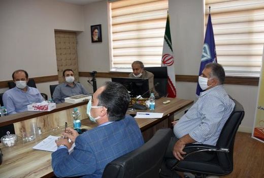 طرح ارتقای کیفیت تخم‌مرغ در استان تهران اجرا می‌شود