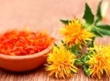تولید هزارتن گلرنگ در مرودشت