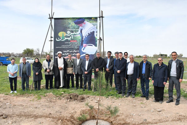 پویش ملی درختکاری سرو ایران در تبریز برگزار شد