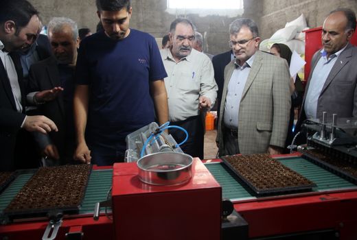 تولید نشا مکانیزه گل و گیاهان زینتی برای اولین بار در کشور