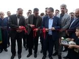 افتتاح واحد پرورش مرغ مادر گوشتی در مهاباد