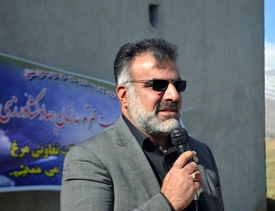 زنجیره تولید گوشت مرغ در دستور کار قرار دارد