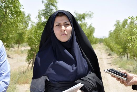 کنترل بیماری‌های گیاهی، تنها با نظریه کارشناسان