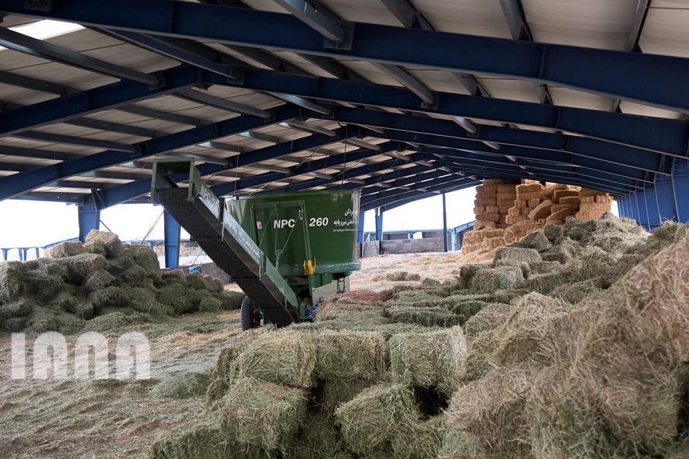 کشاورزی استان زنجان