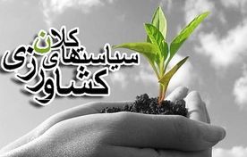 ضرورت بازنگری در سیاست‌های کلان کشاورزی/ از ظرفیت علمی استان‌ها استفاده شود 