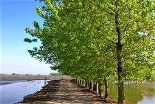 40 هکتار آببندان بهشهر مرمت شد/ هزینه 9.7 میلیاردی دولت