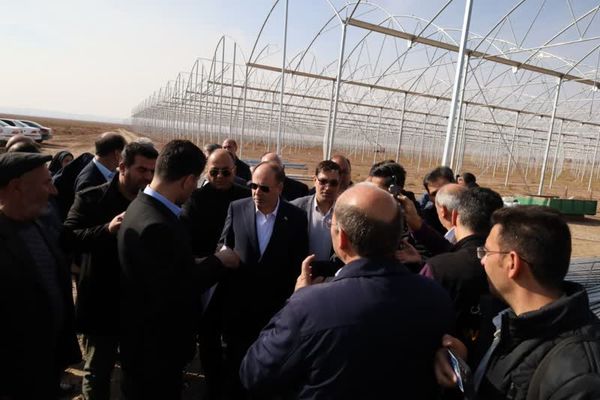 بازدید وزیر جهاد کشاورزی از پروژه‌های گلخانه‌ای در حال احداث هریس