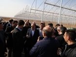 بازدید وزیر جهاد کشاورزی از پروژه‌های گلخانه‌ای در حال احداث هریس