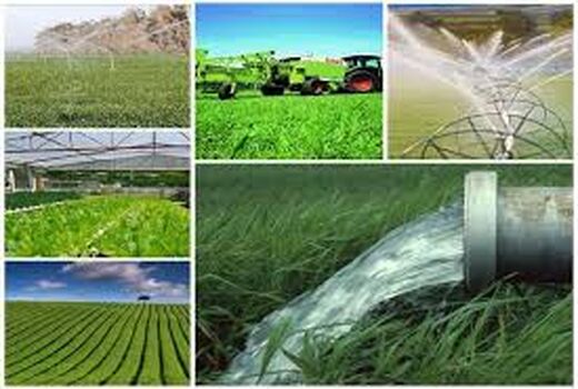 سهم اشتغال زنجان در بخش کشاورزی ۳۳ درصد است