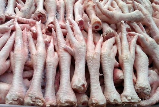 صادرات پا و پنجه مرغ آزاد شد