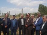بازدید رئیس سازمان جهاد کشاورزی آذربایجان غربی از باغات انگور  میاندوآب