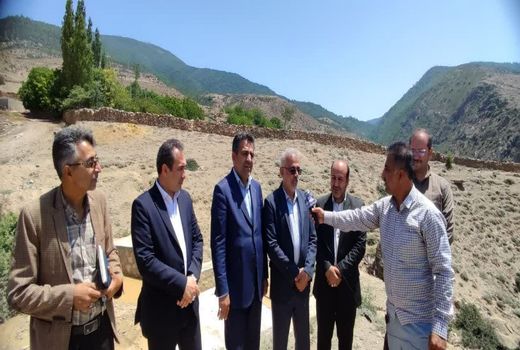 تولید ۲۵۰ میلیون اصله نهال، دستاورد سازمان منابع طبیعی کشور