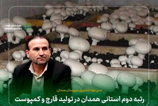 رتبه دوم استانی همدان در تولید قارچ و کمپوست 