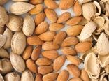 خواص شگفت‌انگیز بادام/ اینفوگرافیک