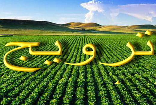 فارس، رتبه نخست آموزش ترویج کشاورزی در کشور 