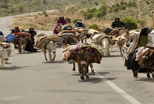 11 درصد جمعیت استان ایلام را عشایر تشکیل می‌دهند