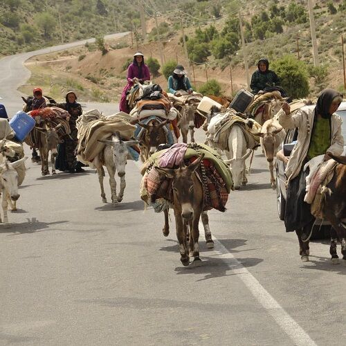 11 درصد جمعیت استان ایلام را عشایر تشکیل می‌دهند