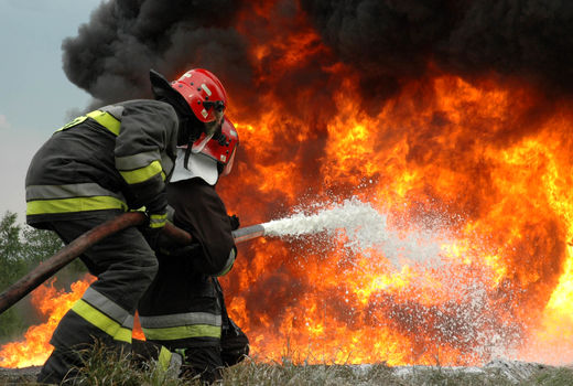 بومی‌ها و کودکان، نجات‌بخش جنگل‌ها
