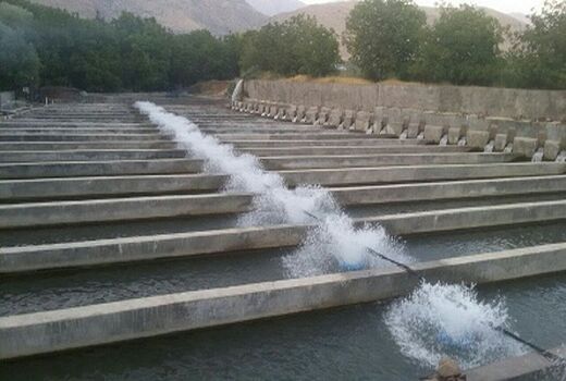تحویل ۲۰ دستگاه اسپلش مزارع پرورش ماهی شهرستان قزوین