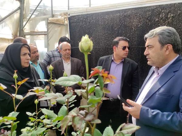 کهگیلویه و بویراحمد، دروازه فرصت‌های آماده سرمایه‌گذاری در شهرک‌های گلخانه‌ای
