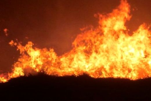 آتش سوزی در مزارع افزر قیروکارزین مهار شد