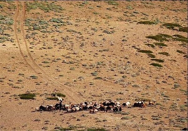 نابودی مراتع و تشدید خشکسالی