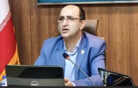 ظرفیت تولید تخم ماکیان روستایی و عشایری به ۲۰۰ هزار تن می‌رسد