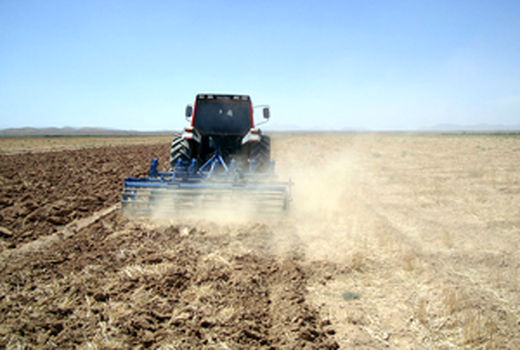 پایان کشت پاییزه جو در چهارمحال و بختیاری