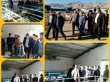 بازدید رئیس مرکز اصلاح نژاد دام کشور از دامداری اصلاح نژاد ۷۰۰۰ راسی در شهرستان جاجرم 