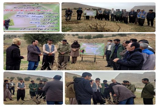 برگزاری کارگاه آموزشی پیشگیری و کنترل سفیدک پودری انگور
