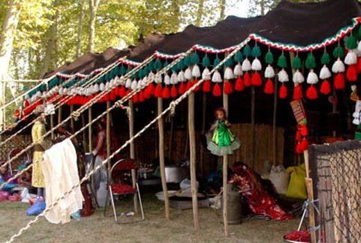 موافقت هیات وزیران با حمایت مالی از صندوق توسعه کشاورزی عشایری