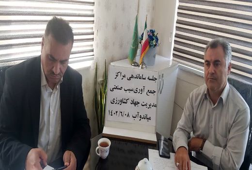 پیش‌بینی تولید بیش از ۴۸ هزار تن سیب درختی در میاندوآب 