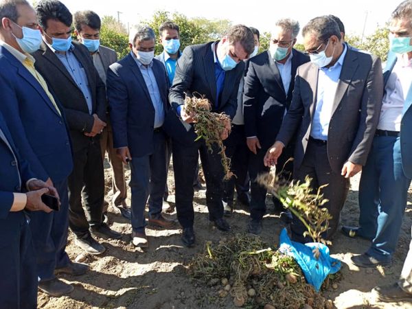 بازدید استاندار کرمان از مزارع خسارت دیده شهرستان عنبرآباد