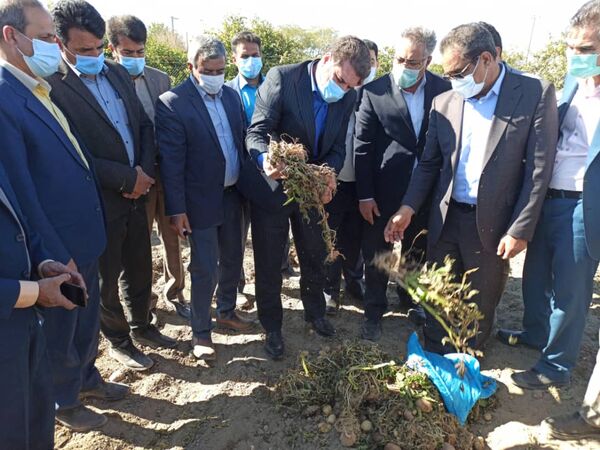 بازدید استاندار کرمان از مزارع خسارت دیده شهرستان عنبرآباد