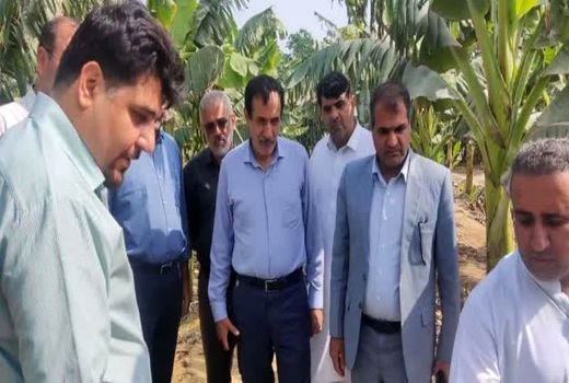 تجهیز حدود سه میلیون هکتار از اراضی کشاورزی کشور به سیستم آبیاری نوین