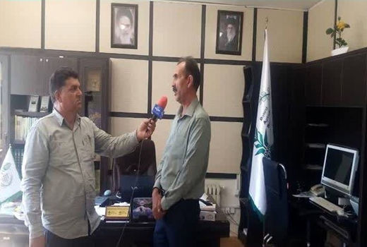 افزایش تولید محصولات دیمی کشور با اجرای ۲۱۷ طرح تحقیقاتی